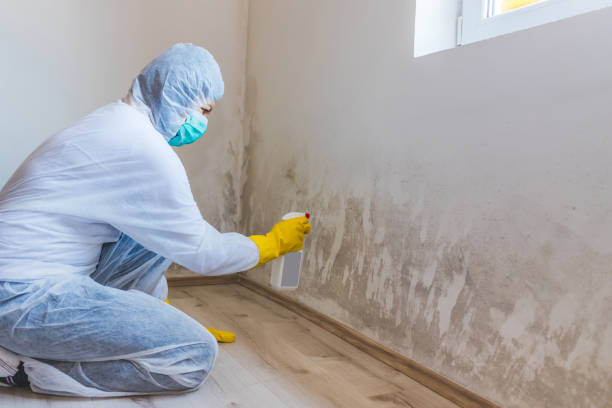 Mold Testing and Removal in Warsaw, KY