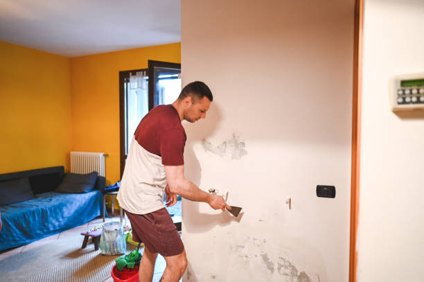 Office Mold Removal Services in Warsaw, KY